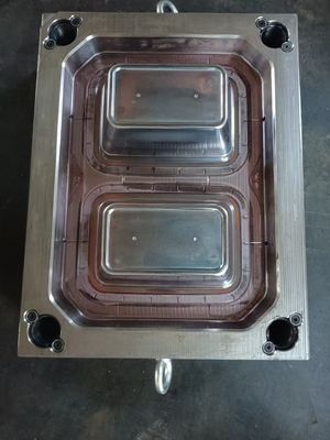 Aşçılık Plastik Enjeksiyon Kalıbı, Kupa/Kovlu/Yazık/Kaşık ABS/PP/PA/PA6/PA6 GF/POM/HDPE/Polikarbonat/PMMA/PET/PVC için